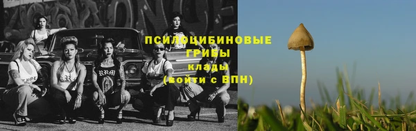 скорость Мегион