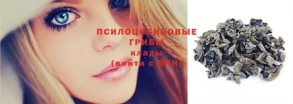 дурь Медвежьегорск