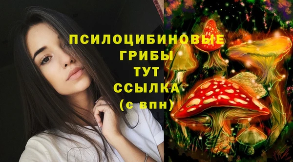 дурь Медвежьегорск